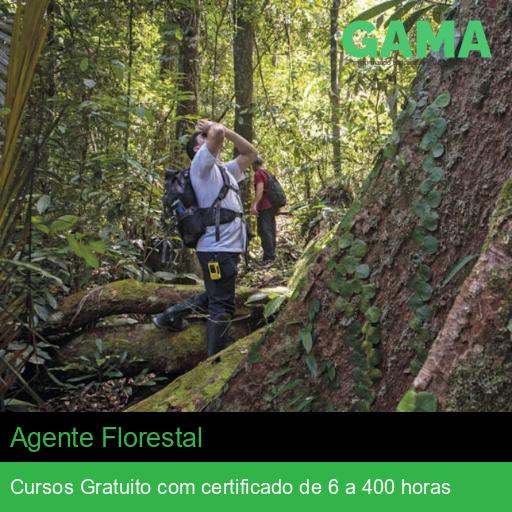 Agente Florestal